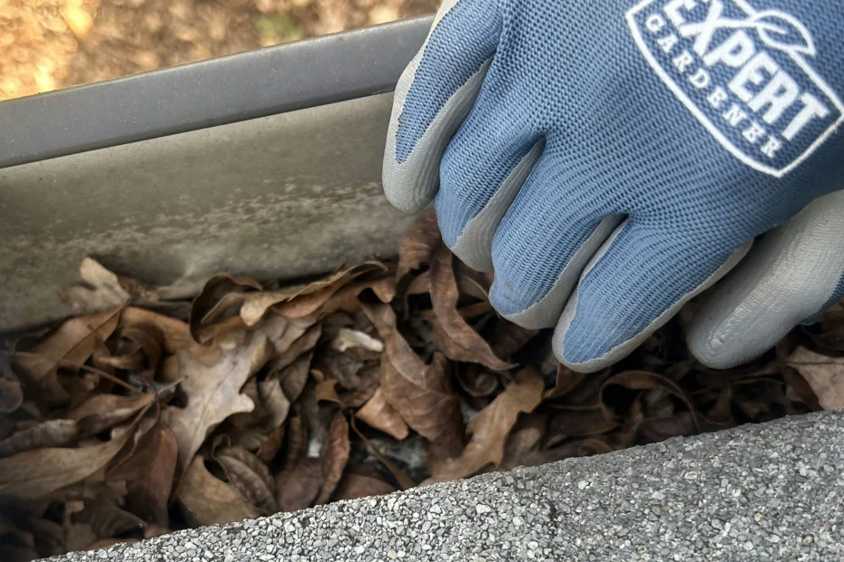 Gutter Cleaning Surfside Beach